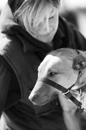 Pawprint Companions provide lots of love and attention to your special family member